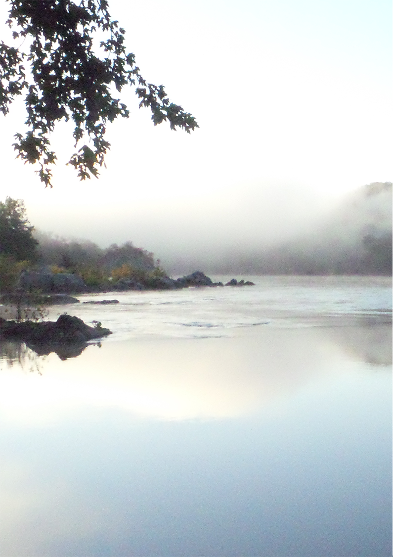 Green Living films website